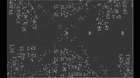 Conway's Game of Life